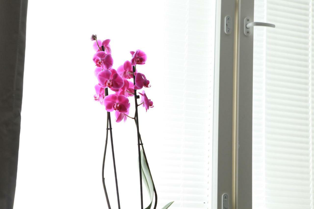 Studio Orchidea Helsinki Exterior photo